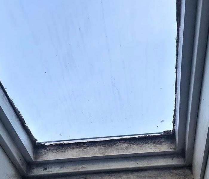 skylight with mold growing on the wood molding around it