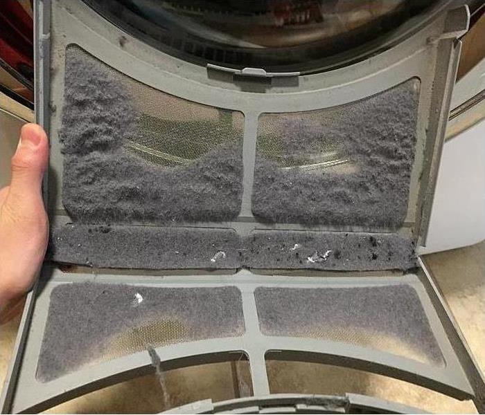 Dryer Filter covered with lint