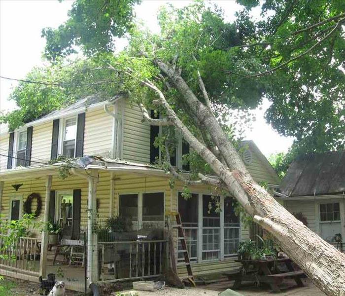 tree fell on a house