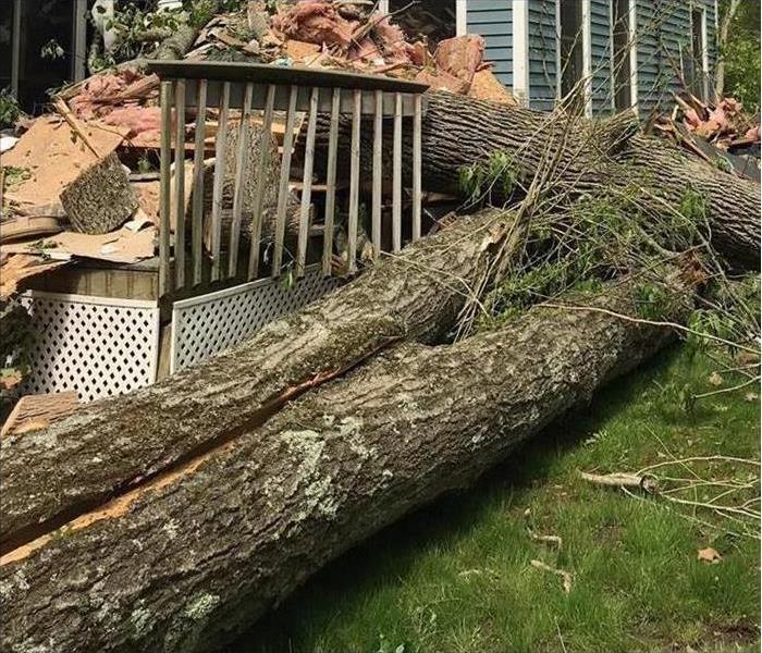 tree that has fallen on a house